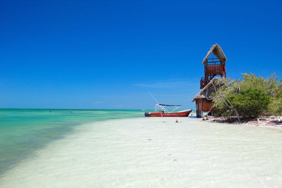 From Cancun or Puerto Morelos: Holbox Boat Tour with Lunch - Food and drinks: included, but not always what you expect