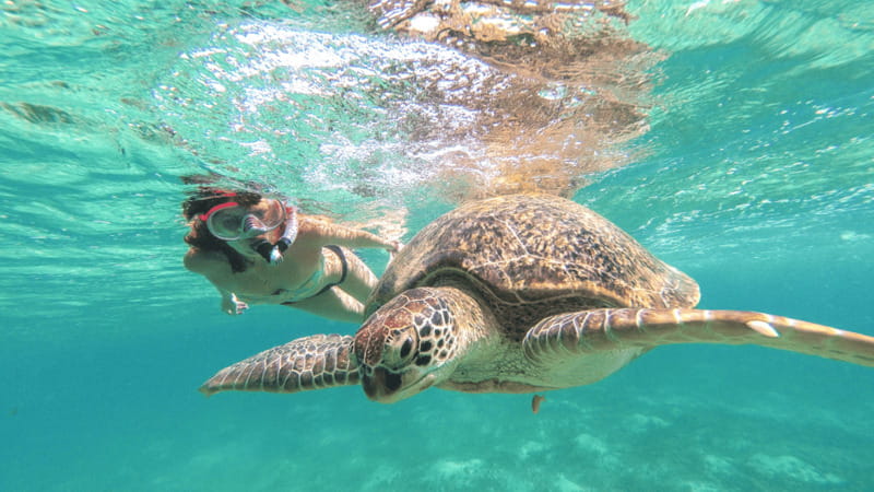 From Cancun: Tulum, Cenote and Turtle Swim Tour at Akumal - Should you book the Cancun to Tulum, cenote, and Akumal turtle swim?