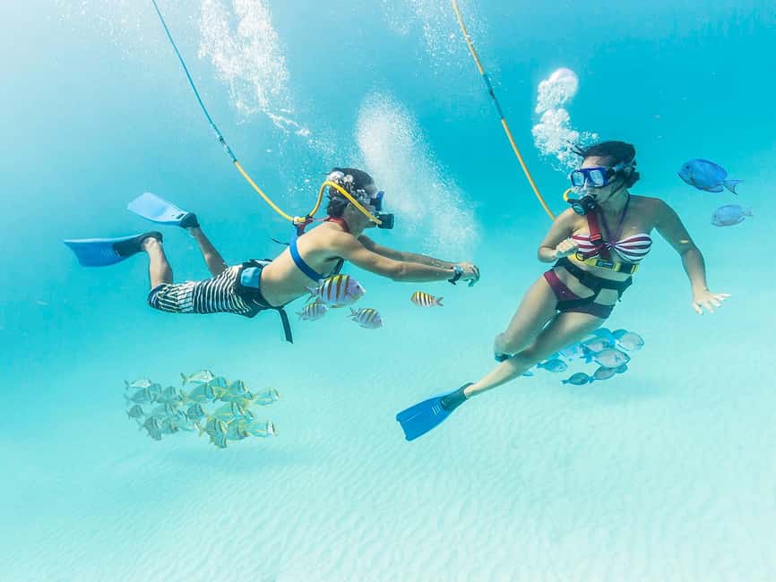 From Cancun: Xcaret Park All-Inclusive - Xcaret Park All-Inclusive, at a Glance