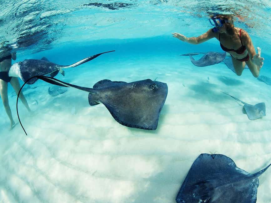 From Playa del Carmen: Xcaret Plus Park, the complete experience - Xcaret Plus Park, in 5 quick hits