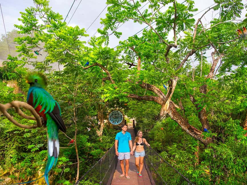 From Playa del Carmen: Xcaret Plus Park, the complete experience - What Xcaret Plus means for your day