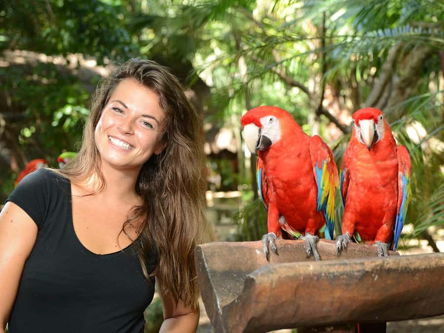 From Riviera Maya: Complete Combo to Xcaret Park! - Why Xcaret Feels Different From Other Cancun Park Days