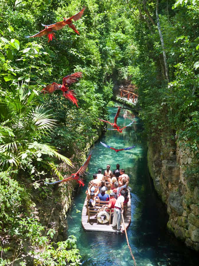 From Riviera Maya: Complete Combo to Xcaret Park! - Your Day Inside Xcaret: 50+ Attractions Without a Fixed Script