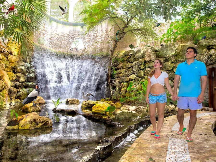 From Riviera Maya: Complete Combo to Xcaret Park! - Families and Kids: Planning So Nobody Gets Bored