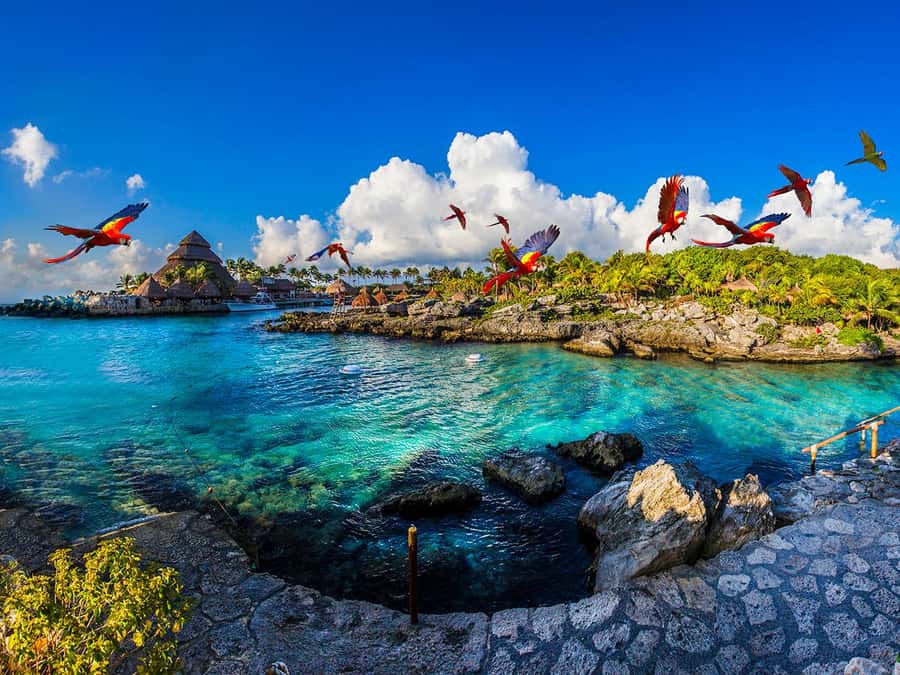 From Riviera Maya: Complete Combo to Xcaret Park! - Getting There From Riviera Maya, And Why Timing Matters