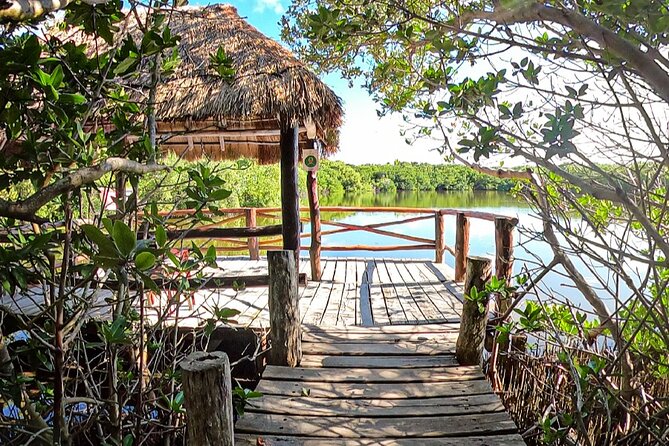 Full-Day Isla Contoy Sailing Nature Experience in Mujeres - Why This Cancun Sailing Day Works So Well