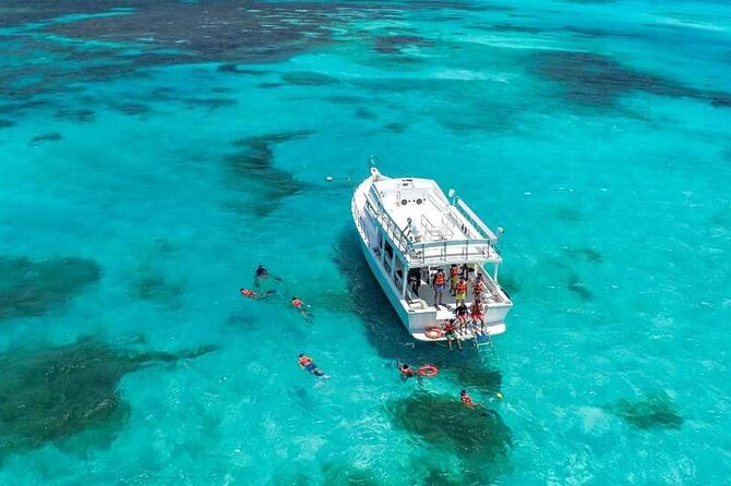 Full-Day Isla Contoy Sailing Nature Experience in Mujeres - Isla Contoy: Eco Tour Learning Time Plus a Peaceful Buffet Lunch
