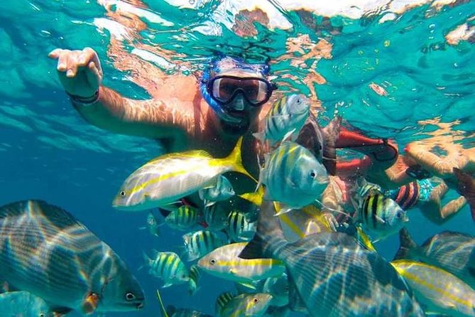 Full-Day Luxurious Catamaran Adventure - Cancún to Isla Mujeres - Isla Mujeres first stop: Playa Norte and swimming time