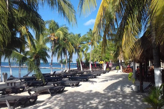 Full-Day Luxurious Catamaran Adventure - Cancún to Isla Mujeres - Snorkeling on the reef: included, but plan for crowding