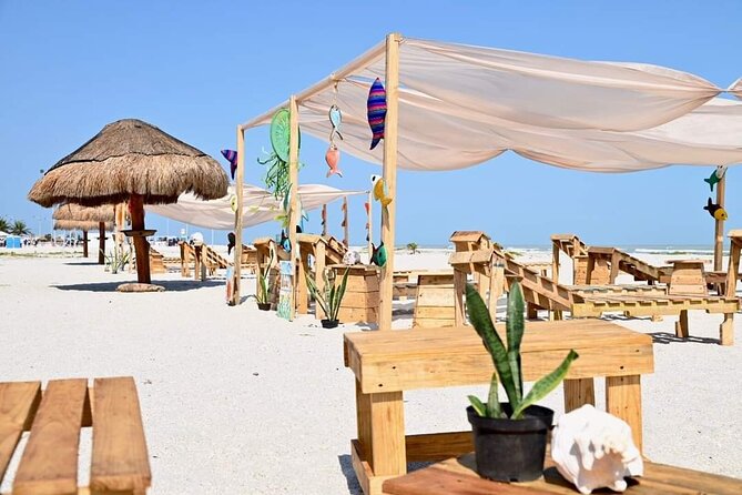 Full Day Tour of Holbox Island and Yalahau Cenote with Lunch - Getting to Chiquila: where the day’s rhythm starts