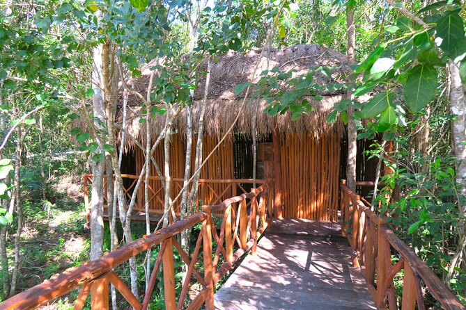 Full-Day Tour of Tulum Ruins and Cenotes with Lunch - Snorkeling Gear, Shower Rules, and Comfort Tips That Matter