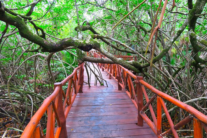 Full-Day Tour of Tulum Ruins and Cenotes with Lunch - Lunch in the Tulum Community: Tacos, Handmade Tortillas, Soft Drinks
