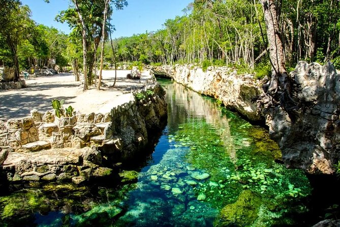 Full Day Tour to 5 Magical Cenotes in the Riviera Maya - What this tour feels like in real time