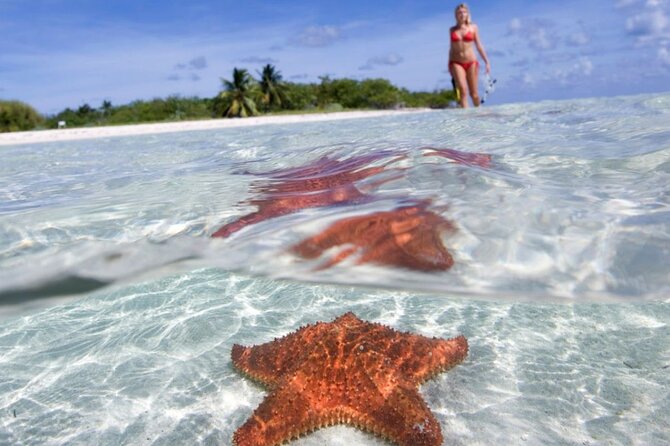 Full day tour to El Cielo in Cozumel Snorkeling and Lunch - Key things that make this tour worth a look