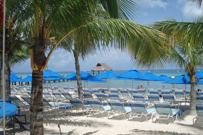 Full day tour to El Cielo in Cozumel Snorkeling and Lunch - Getting from Cancun to Playa del Carmen, then to Cozumel: what to expect