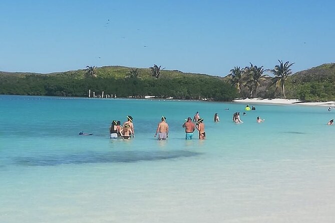 Full Day Tour to Isla Contoy and Isla Mujeres from Cancun - National Open Bar: How the Drink Plan Fits the Day
