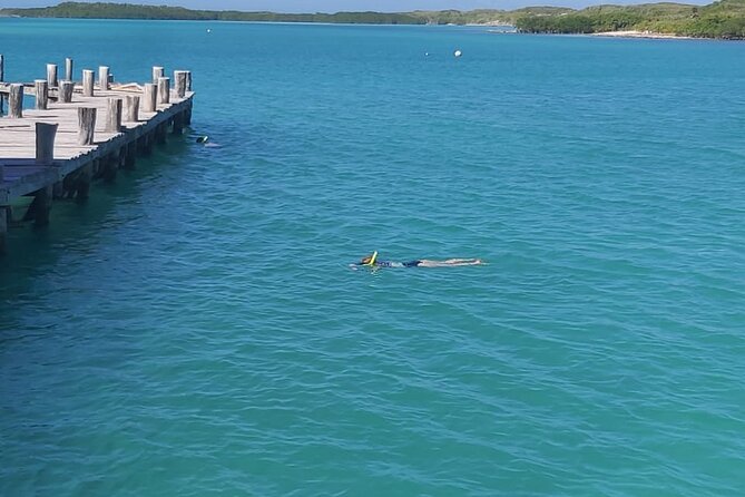 Full Day Tour to Isla Contoy and Isla Mujeres from Cancun - Isla Mujeres for One Hour: Playa Norte or Town
