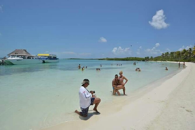 Full Day Tour to Isla Contoy and Isla Mujeres from Cancun - Price and Logistics for a Smooth 8-Hour Day Trip