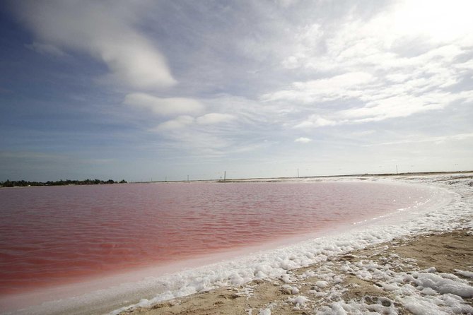 Full-Day Tour to Las Coloradas Pink Paradise in Yucatan and Rio Lagartos. - Key highlights to know before you go