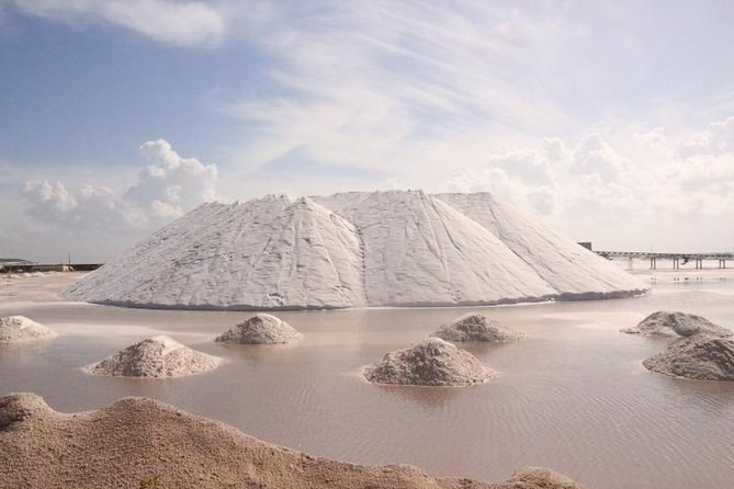Full-Day Tour to Las Coloradas Pink Paradise in Yucatan and Rio Lagartos. - Río Lagartos Boat Ride: Mangroves, Wildlife, and the Flamingo Mat