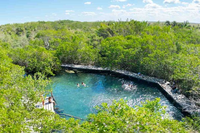 Full Day Tour to the Best of Holbox - Price and Value: What $99 Really Buys You