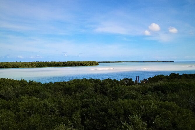 Full Day Tour to the Best of Holbox - Stop 1: Holbox Island Free Time That Actually Lets You Wander