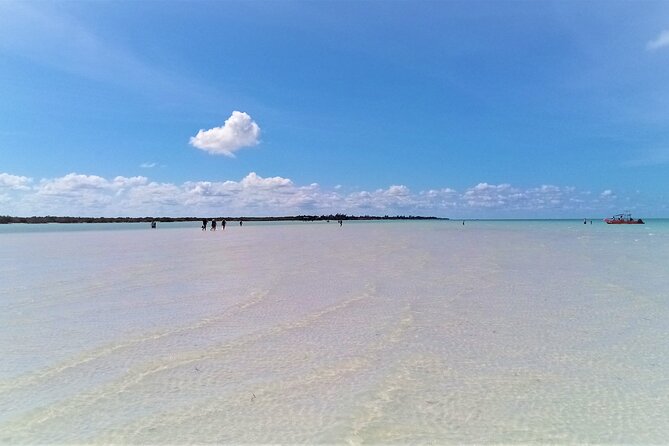 Full Day Tour to the Best of Holbox - The Day’s Rhythm: Smooth Stops, Not a Marathon