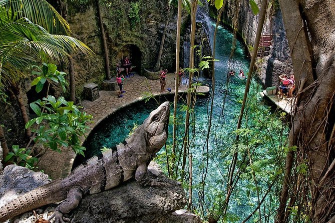 Full day Xcaret Plus & Buffet & from Cancun & Playa del Carmen - Snorkeling options and the extra fees you should budget