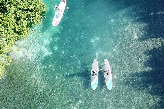 Go City: Cancun Pass: 15+ Things To Do - includes Chichén Itzá - Parasailing: Quick, High, and Very Weather-Dependent