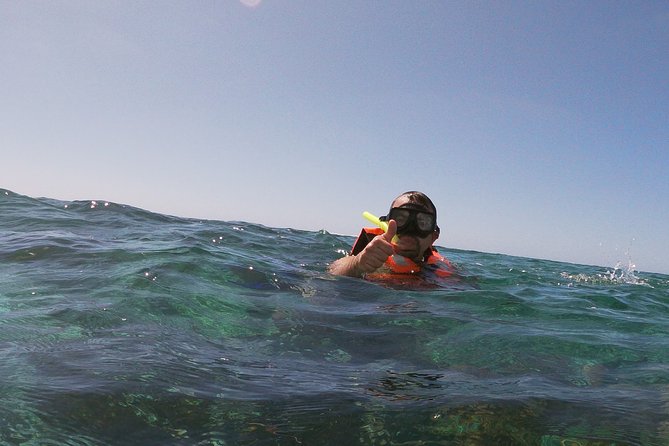 Guided Tour of Puerto Morelos Reefs with Snorkeling Experience - Price and taxes: what $44.25 really adds up to