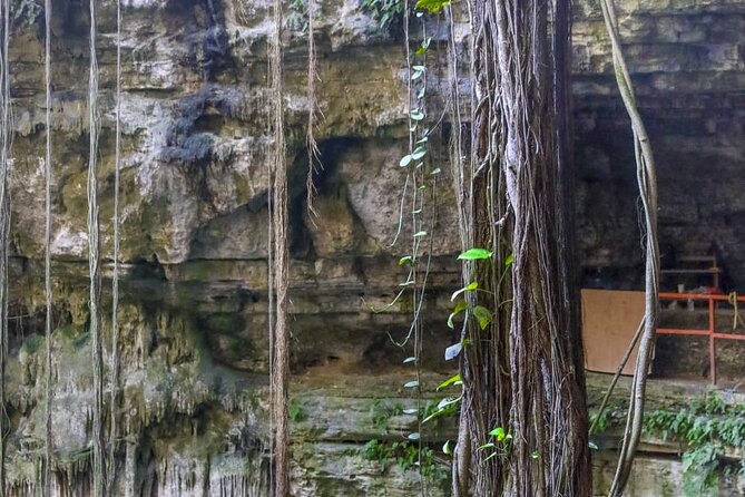 Guided Tour to Chichen Itza, saamal Cenote and Valladolid City - Food, Comfort, and the Bus Ride You Will Likely Feel