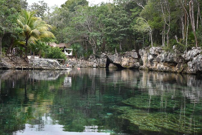 Half Day Cenotes Tour - Key highlights worth your attention
