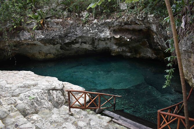 Half Day Cenotes Tour - Price and time, the practical reality