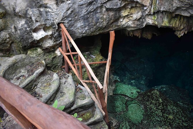 Half Day Cenotes Tour - What you will actually do: swimming, snorkeling, and cave conditions