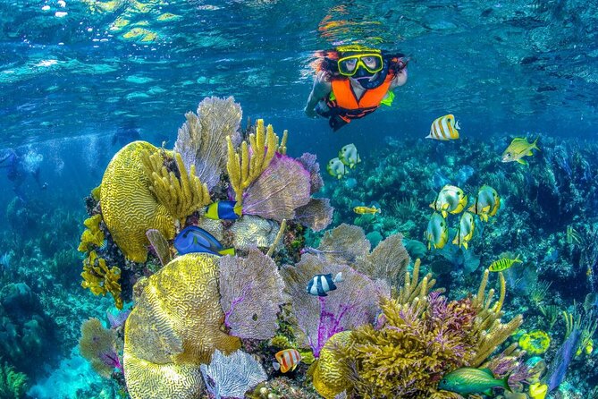 Half Day Guided Snorkeling Adventure in Puerto Morelos - Key Points You’ll Care About