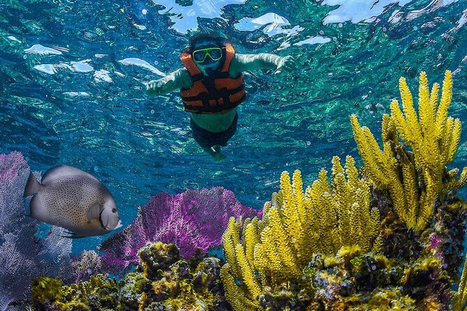 Half Day Guided Snorkeling Adventure in Puerto Morelos - The 9:00 am, 6-Hour Rhythm That Fits Real Schedules
