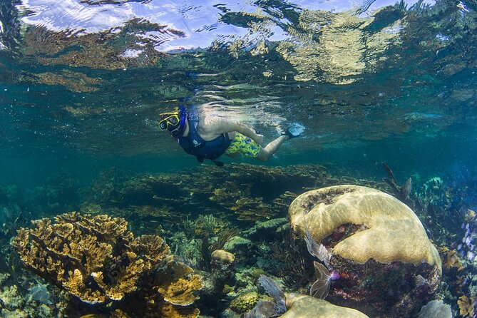 Half Day Guided Snorkeling Adventure Tour from Cancun - The beach club lunch: your wind-down after snorkeling