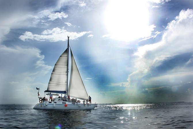 Half Day “LITE TOUR” to Isla Mujeres - Stop 3 on the way back: Punta Sam Reef and the Underwater Museum at sunset
