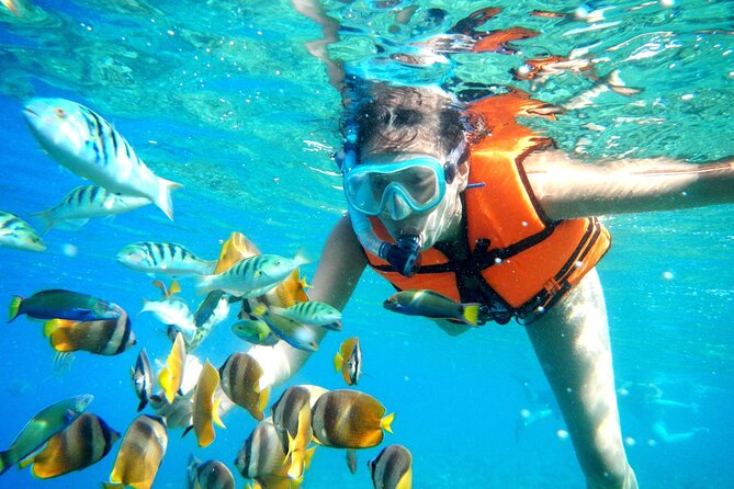 Half-Day Puerto Morelos Snorkeling Experience with Lunch - The half-day flow: pickup, boat ride, reef swim, lunch, then town time