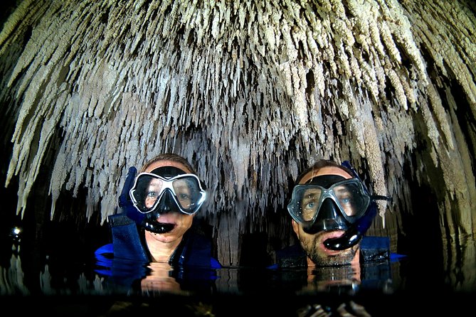 Half-Day Underwater World Tour - The snorkeling shift: the Mesoamerican Reef experience