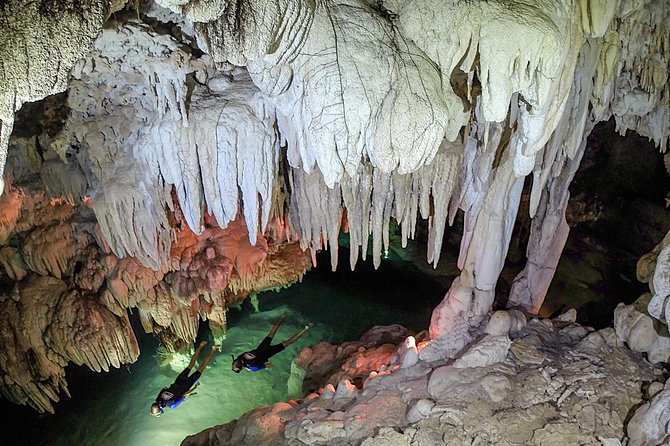 Half-Day Underwater World Tour - What the tour includes, and how it changes your packing list