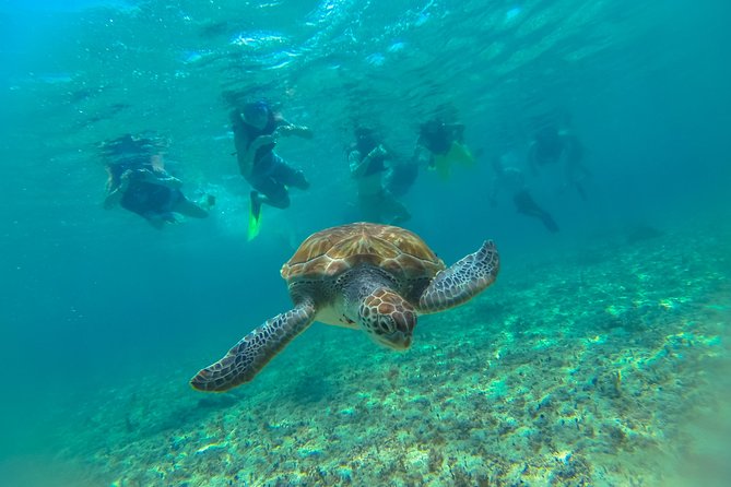 Half-Day Underwater World Tour - Timing and pacing: a true half-day that does not drag