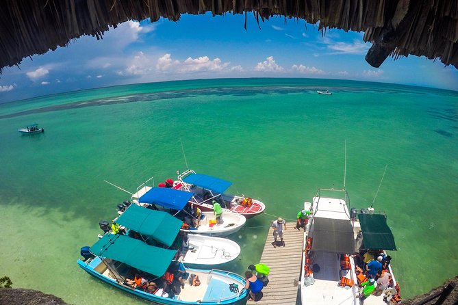 Holbox Island Tour departure from Cancun - Price and the Maritime Fee: What You Pay and What You Still Owe