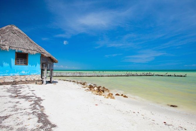 Holbox Island Tour departure from Cancun - Punta Mosquito: A Short Stop That Still Feels Like Nature Time