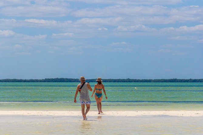 Holbox Island Tour From Cancun - Isla de la Pasion: Birds, Wildlife Energy, and Shallow Water Time