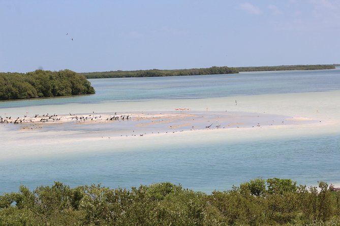 Holbox Island Tour From Cancun - The Bird Island and Yalahau Swim Angle