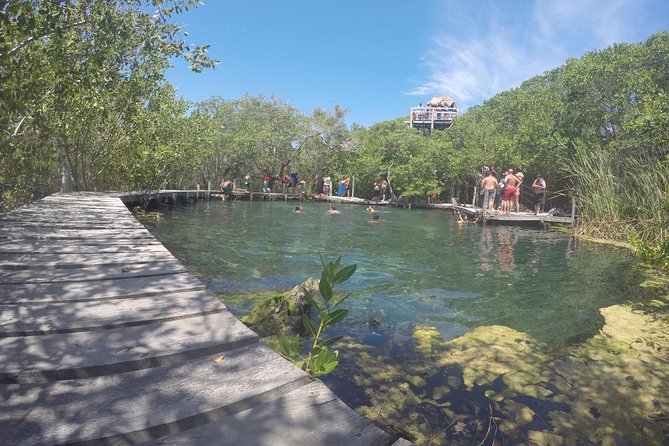 Holbox Island Tour from Cancun - Price and logistics: what you really pay for