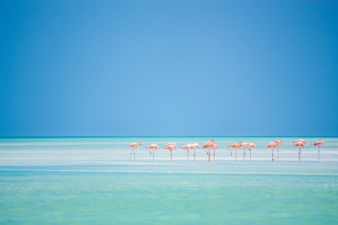 Holbox tour from Cancun and Riviera Maya - Cenote Yalahau and Isla Pasion: the stops that change the mood