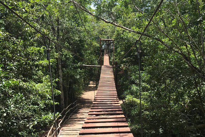 Horseback riding and ATV in the jungle, Ziplines, Cenote & Lunch - Price and value: what $60.75 buys you in real terms