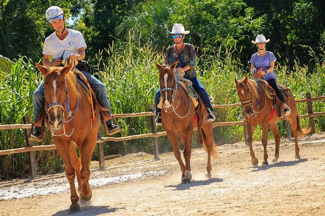 Horseback Riding Tour at Rancho Bonanza and Cenote Swim - How the honey and jungle stories turn into a real lesson